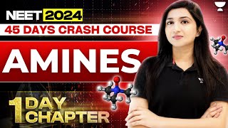 1 Day 1 Chapter Amines  45 Days Crash Course  NEET 2024  Akansha Karnwal [upl. by Liauqram]