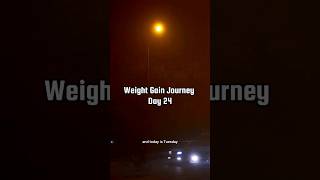 Weight Gain Journey Day 24 weightgain weightgainjorney weightgaintips weightgaindiet [upl. by Anialam]