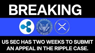 RIPPLE VS SEC LAWSUIT AS THE DEADLINE APPROACHES SEC CONSIDERS FILING AN APPEAL [upl. by Hock]