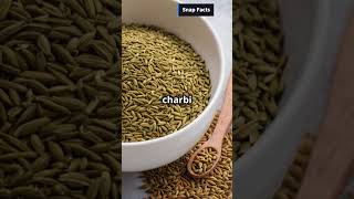 Amazing Health Benefits of Cumin Seeds  Boost Digestion amp Lose Weight with Jeera [upl. by Esmeralda]