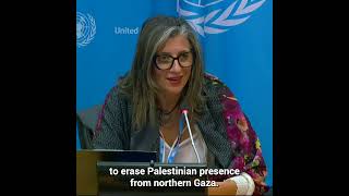 Special Rapporteur Albanese highlights the dire situation of Palestinians in Gaza  United Nations [upl. by Atteroc]