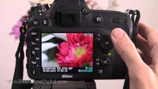 Introduction to the Nikon D7100 Basic Controls [upl. by Saraann]