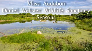 quotSeasonsquot Mass Audubon Daniel Webster Wildlife Sanctuary [upl. by Simon]