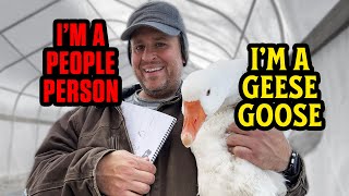 Thats Just Life on a Goose Farm [upl. by Rednave]