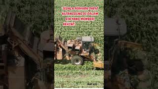 quotSegala perkara dapat kutanggung di dalam Dia yang memberi kekuatan shortsfeed inspiredmyd [upl. by Fesuy]