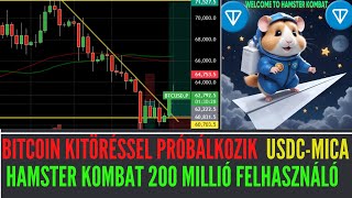 📈Bitcoin Kitörésben Zöld Július Jöhet I Hamster Kombat 200 Millió Userral a Rekordok Könyvébe I USDC [upl. by Amik]