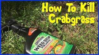 How to Kill Crabgrass Without Affecting Your Lawn Fast amp Easy [upl. by Tjon]