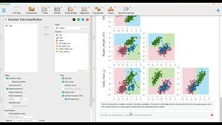 JASP： 機器學習決策樹分類（企鵝） [upl. by Clerissa]