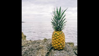 Difference between PINEAPPLE and ANANAS｜Pineapplecrisis [upl. by Joela160]