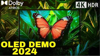 2024 OLED DEMO Dolby Atmos Breakthrough in NextGen TV Technology [upl. by Doble]