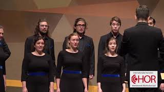 Vokalensemble Zürich West Schweiz Gloria Patri ICCC 2019 Marktoberdorf [upl. by Lovich]