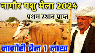 नागौरी बैल प्रथम स्थान प्राप्त नागौर पशु मेला 2024  बैल कीमत 1 लाख रुपए  Nagaur Cattle Fair 2024 [upl. by Kask713]