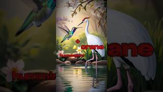 Bull  scorpain and crane  hummingbird animals shorts viralvideo [upl. by Omoj]