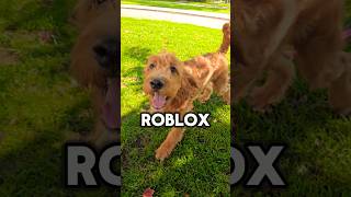 ✨️TEAM FORTNITE OR TEAM ROBLOX PUPPY✨️ shorts puppy dog [upl. by Quigley295]