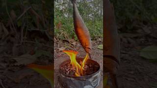 Single mom show SMART idea for survival in forest camping outdoor bushcraft lifehacks [upl. by Ludovick956]