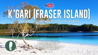 Australia Nature Documentary 4K  K’gari Fraser Island  Wildlife and Natural History [upl. by Marielle]