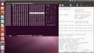 Ubuntu 1204 Forensics  MFT Standard Information Attribute 0x10 [upl. by Nicram]