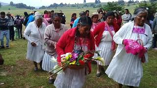 Danza Mazahua de Santa Ana Ixtlahuaca [upl. by Sedinoel]