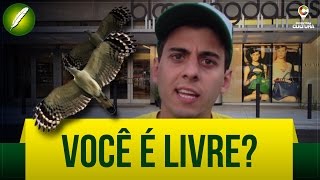 Você é Livre Poesia  Fabio Brazza [upl. by Atsok100]