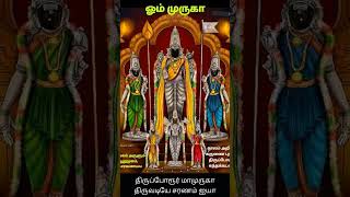 murugan love muruga murugantemple thiruchendoor thiruthani thiruvannamalai palani swami [upl. by Sucul]