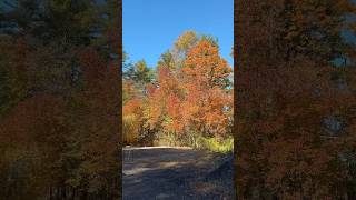 My New Hampshire property in the fall time [upl. by Sonni]