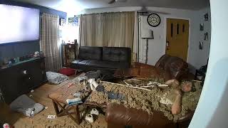 Ceiling Drywall Collapses on Man and Dog Watching TV on the Couch  1345759 [upl. by Licastro620]