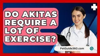 Do Akitas Require a Lot of Exercise  PetGuide360com [upl. by Bruning]