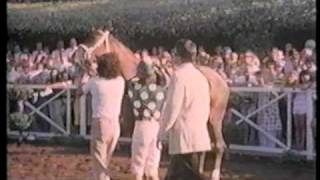 Terlingua  1978 Del Mar Debutante [upl. by Corotto]