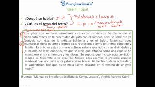 Taller estrategias de comprensión lectora  Lección 1 [upl. by Zsuedat]