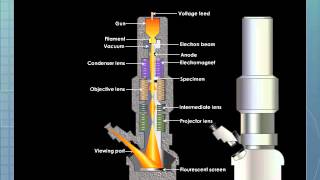 Electron Microscope [upl. by Nylsirhc105]