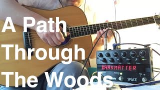 Ambient Ebow On Acoustic Guitar  Eventide Space [upl. by Neahs]