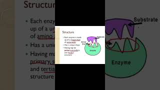 Unlocking Enzyme Power Active Site amp Structure Explained [upl. by Eidna]