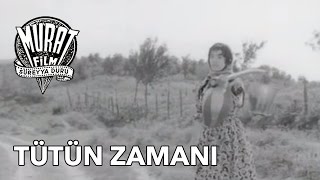 Tütün Zamanı Yılmaz Güney  FULL [upl. by Janeczka]