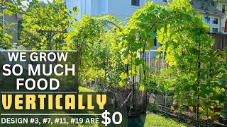 20 TRELLIS designs with examples for VERTICAL gardening easy amp budget friendly [upl. by Diandra867]