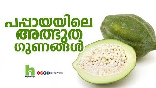 പപ്പായയിലെ അത്ഭുത ഗുണങ്ങൾ Pappaya health benefits malayalam video [upl. by Payne552]