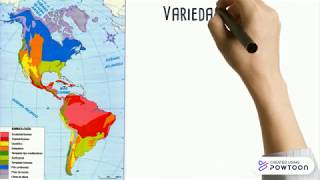 Paisajes de América  Historia Geografía y Ciencias sociales 4° Básico [upl. by Noseimaj]