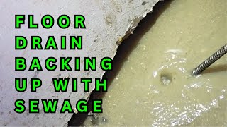 How To Snake A Drain In Restaurant Basement [upl. by Salb]