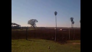 VIDEO ESTANCIA LOMITA  PARAGUAY [upl. by Kcid405]