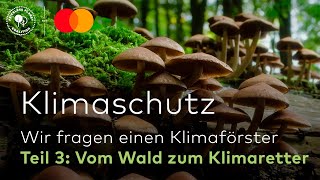 KLIMASCHUTZ 3 Vom Wald zum Klimaretter Wir fragen einen Klimaförster  Priceless Planet Coalition [upl. by Leahcimnhoj]