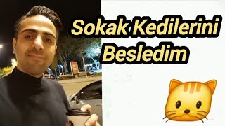 Sokak Kedilerine Kedi Maması Verdim 14102024 sokakkedisi sokakkedi sokakkedileri [upl. by Zeugirdor]