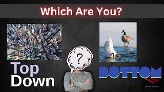 TopDown Thinkers vs BottomUp Thinkers [upl. by Olatha982]