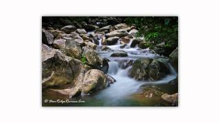 Gatlinburg Vacation  Great Smoky Mountains National Park  Deer Ridge Reviewsmp4 [upl. by Earahc]