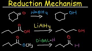 NaBH4 LiAlH4 DIBAL Reduction Mechanism Carboxylic Acid Acid Chloride Ester amp Ketones [upl. by Mord]