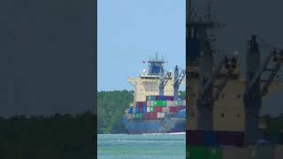 Bustling Waterway shipspotting ships containership [upl. by Ebonee]