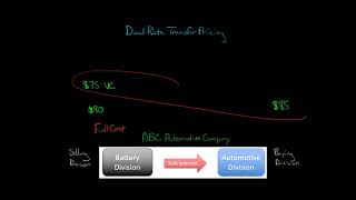 Dual Rate Transfer Pricing [upl. by Aihsatsan]