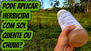 Pode aplicar Mata Mato herbicida com chuva ou sol quente Aplicação Glifosato roundup tempo chuvoso [upl. by Mikael]