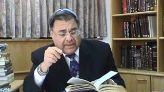 Rabbi Riskin Parshat Behaalotcha  Torah Lights 5772 [upl. by Yedoc]