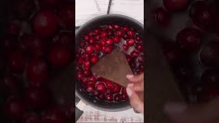 Deliciously Easy Cranberry Syrup Recipe [upl. by Mide945]