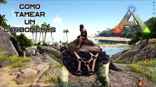 Como tamear un Carbonemys de manera fácil y rápida En Ark Survival Evolved [upl. by Terry]