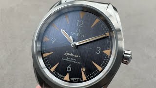 Omega Seamaster Railmaster 22010402001001 Omega Watch Review [upl. by Limemann650]